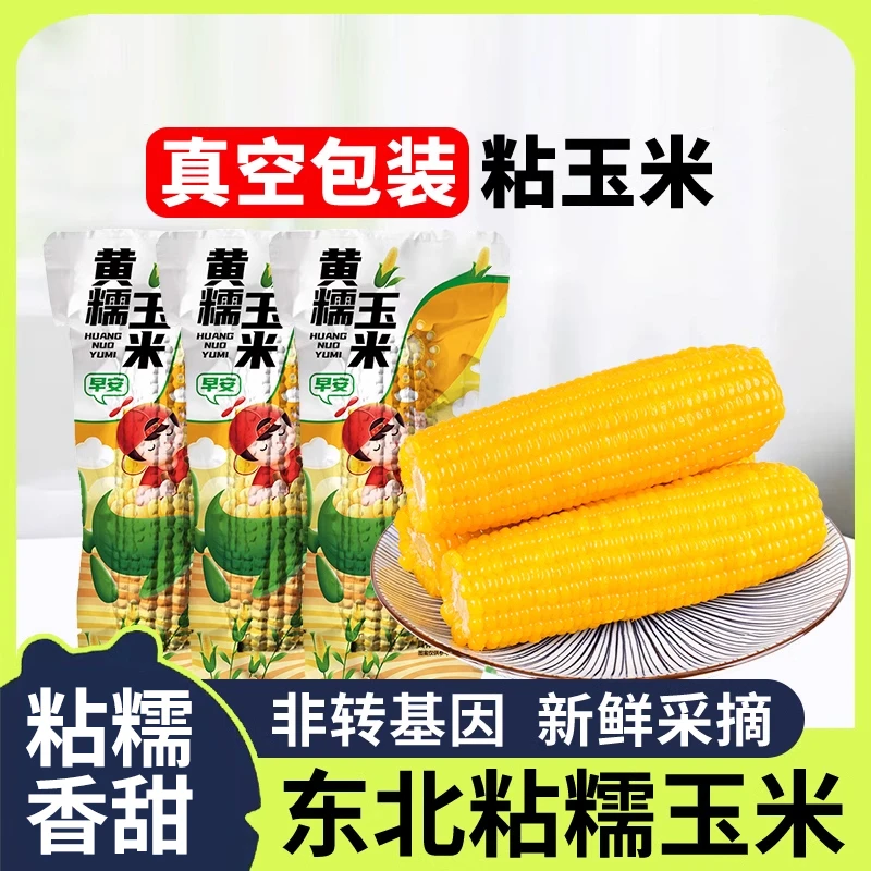 东北真空包装黏玉米棒8支黄糯苞米现摘新鲜甜玉米粒粘非即食粗粮