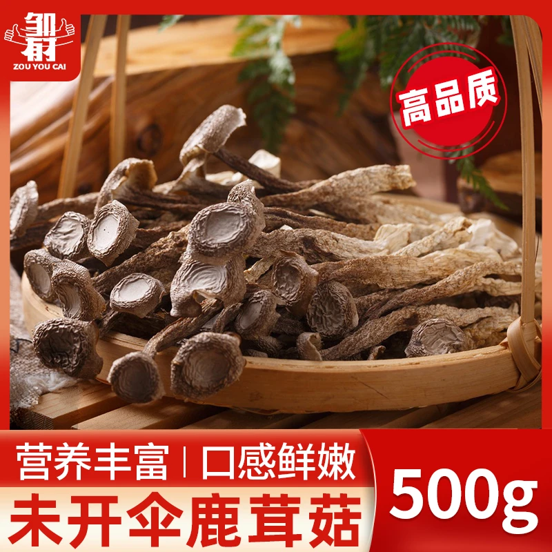 鹿茸菇干货500g鹿茸菌新鲜云南非特级野生菌特产煲汤炖菜食材东北