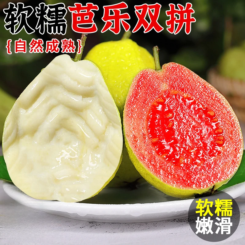 【二哈灵专属】福建漳州红白双拼芭乐3-5斤装软糯香甜新鲜应季水果