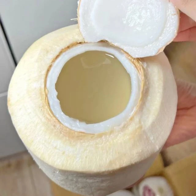 东泰一个宝椰青