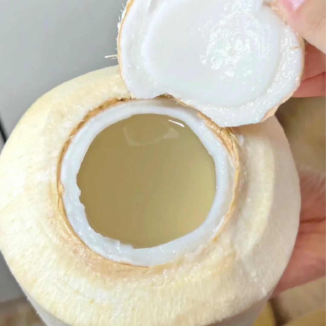 泰国香水椰青一个