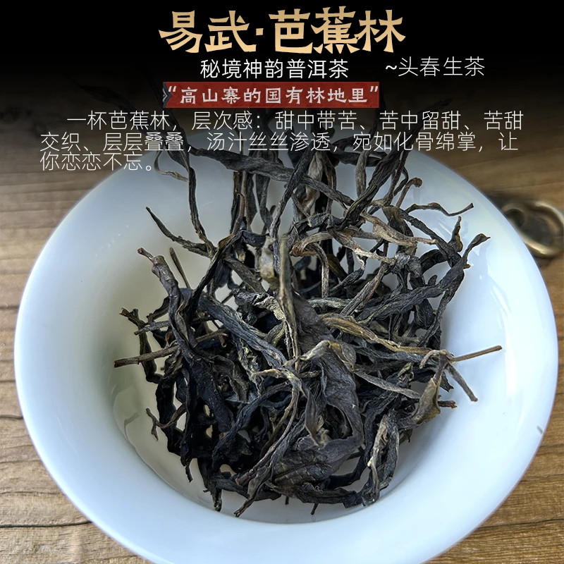 云南易武高山寨芭蕉林国有林头春普洱茶生茶500g古树茶纯散料茶叶