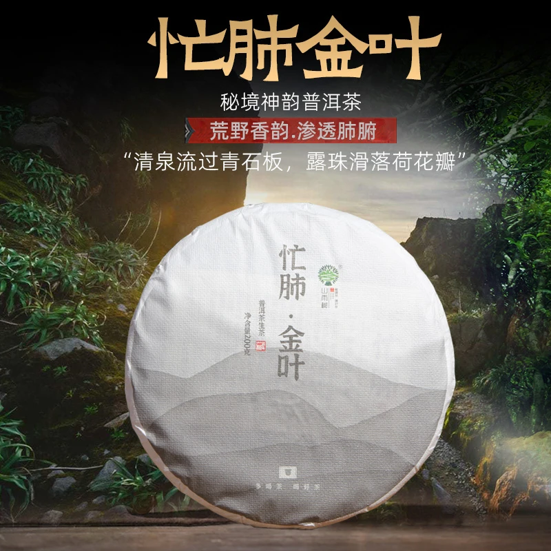 山雨树普洱茶生茶忙肺古树纯料黄金叶云南春茶喝茶散茶茶叶生茶饼