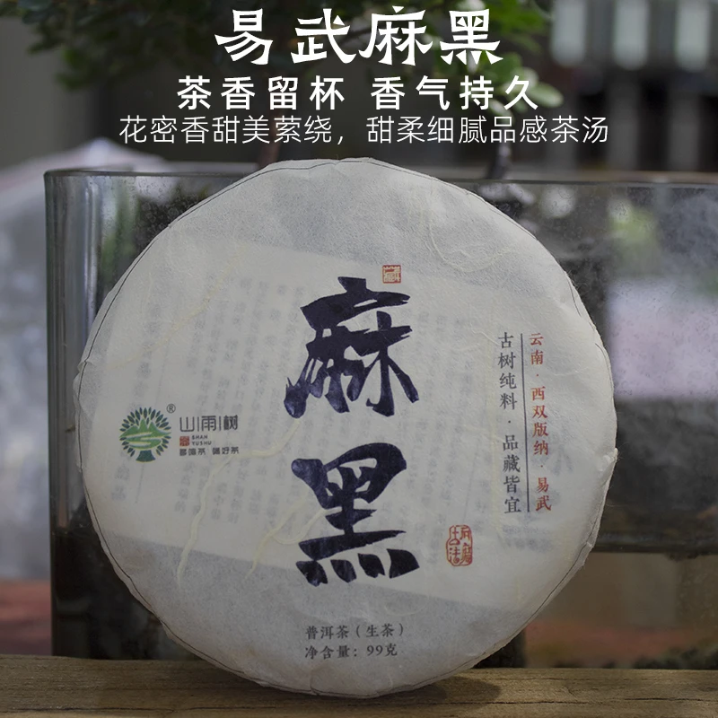 山雨树易武麻黑普洱茶生茶饼小茶饼古树纯料生普洱茶春茶七子饼茶