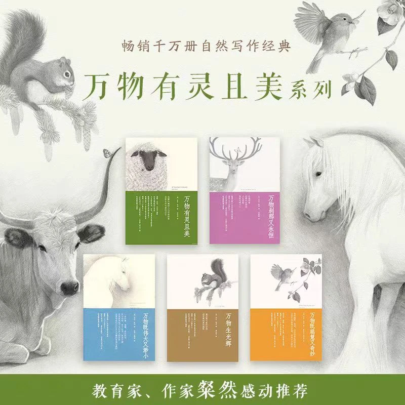 万物有灵且美 五册