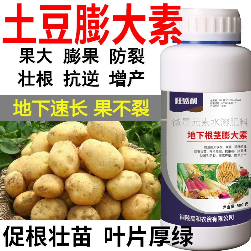 土豆地下根茎膨大膨果增产膨大素通用膨大剂增重防裂防畸叶面肥料