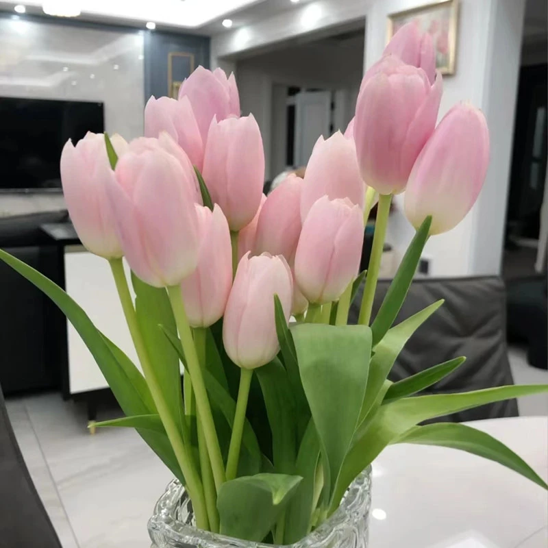 郁金香种球土培水培耐寒多年生室内外庭院水培植物四季盆栽花种子