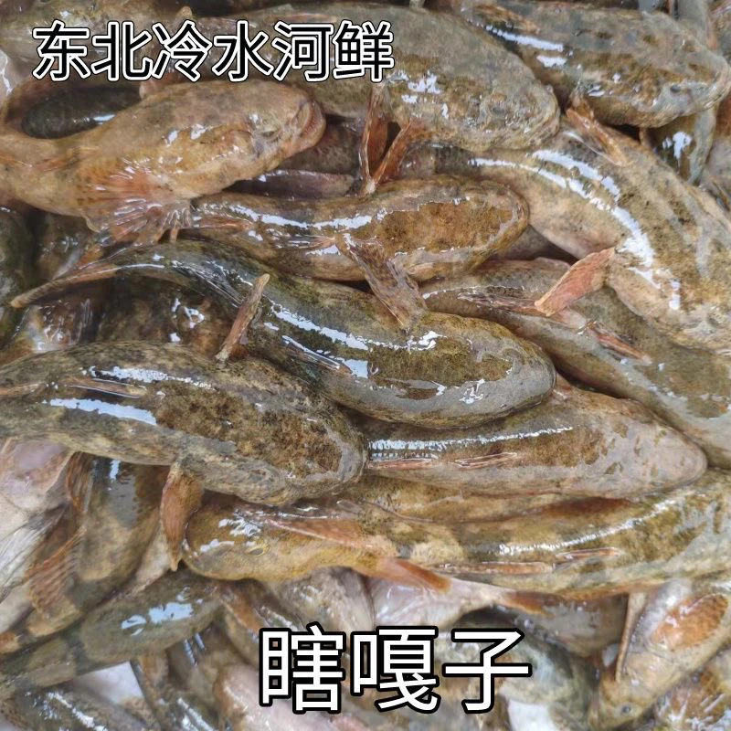 东北野生土特产河鲜河鱼瞎噶哒鱼 顺丰发货