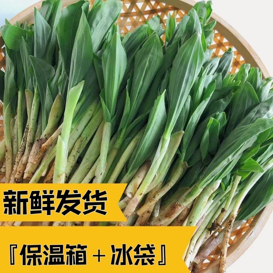 顺丰包邮东北土特产山野菜山迷子