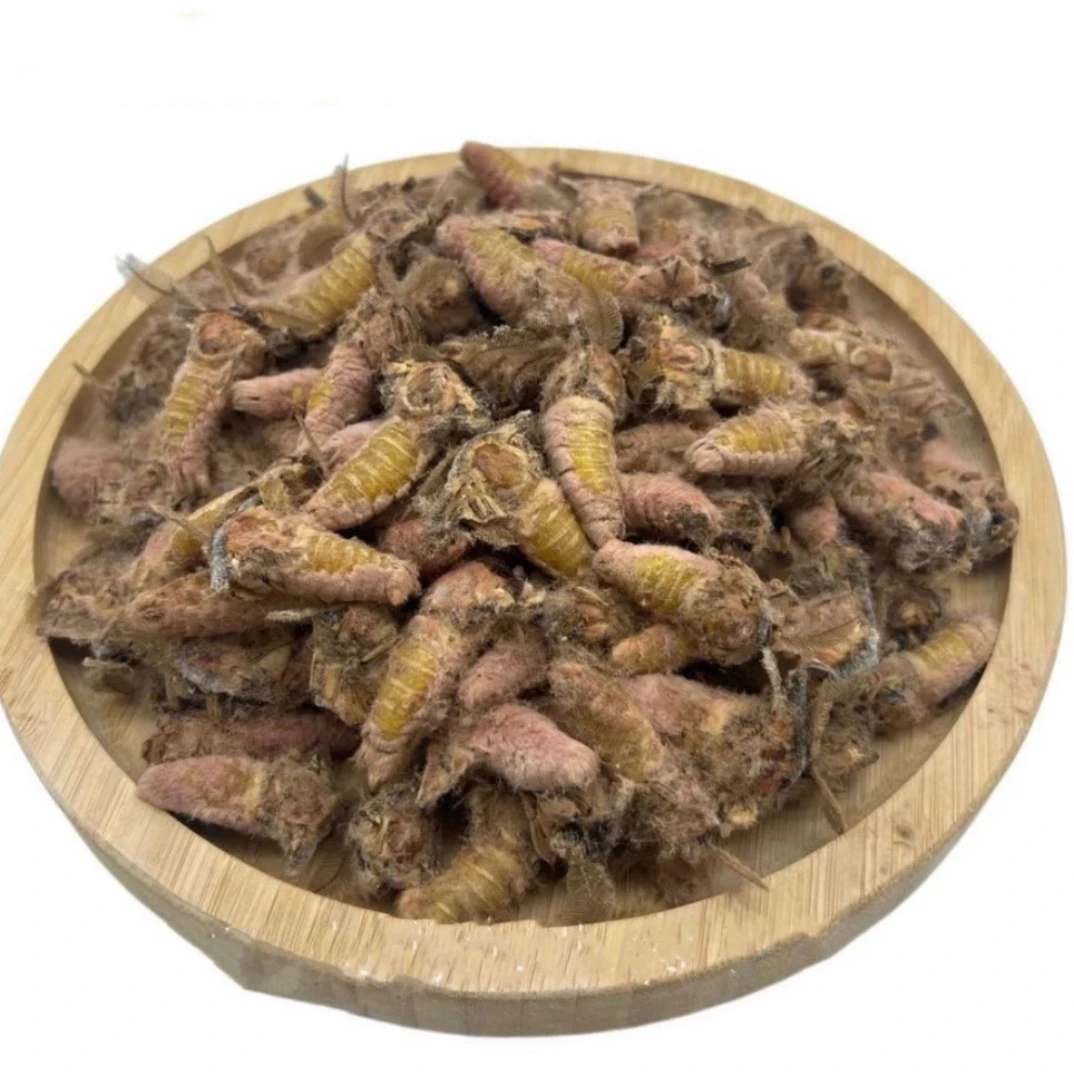 东北雄蚕蛾(去膀去毛速冻)蛋白过敏人勿拍，包邮