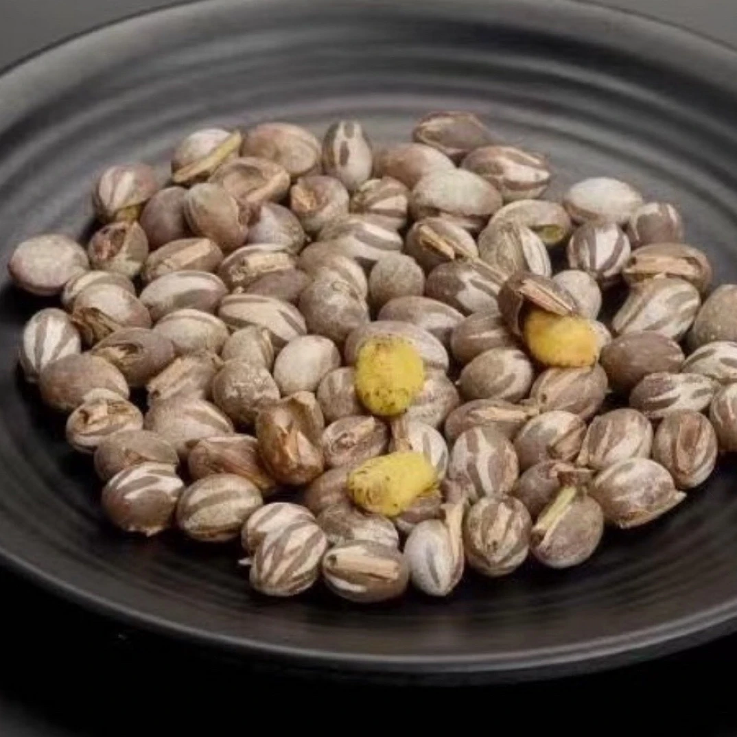 东北杨拉罐刺蛾洋辣子杨拉罐坦克虫50g/250g/500g包邮食用新鲜