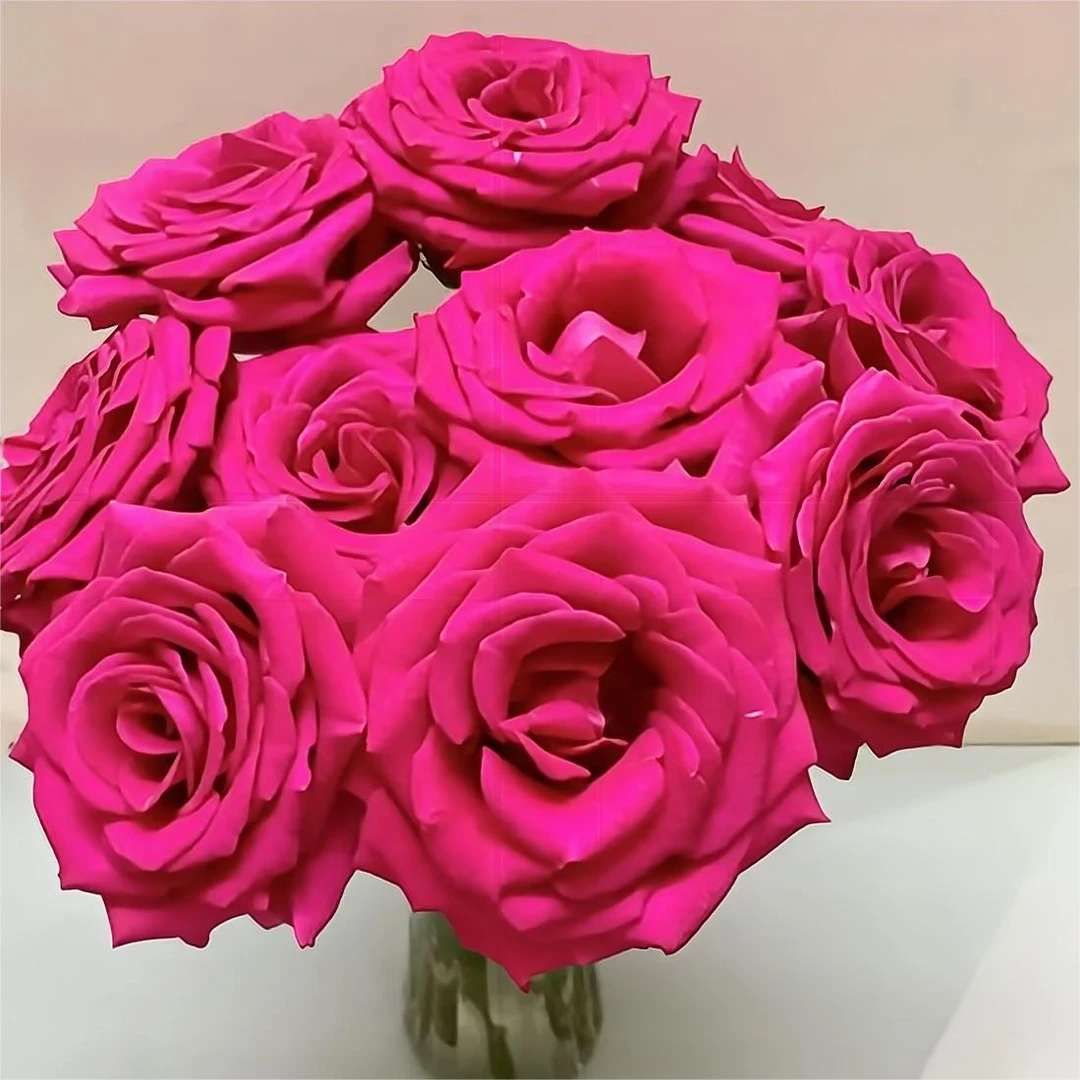 【弗洛伊德玫瑰鲜花】 高端鲜切花 Freud Roes高端花材 （顺丰空运）