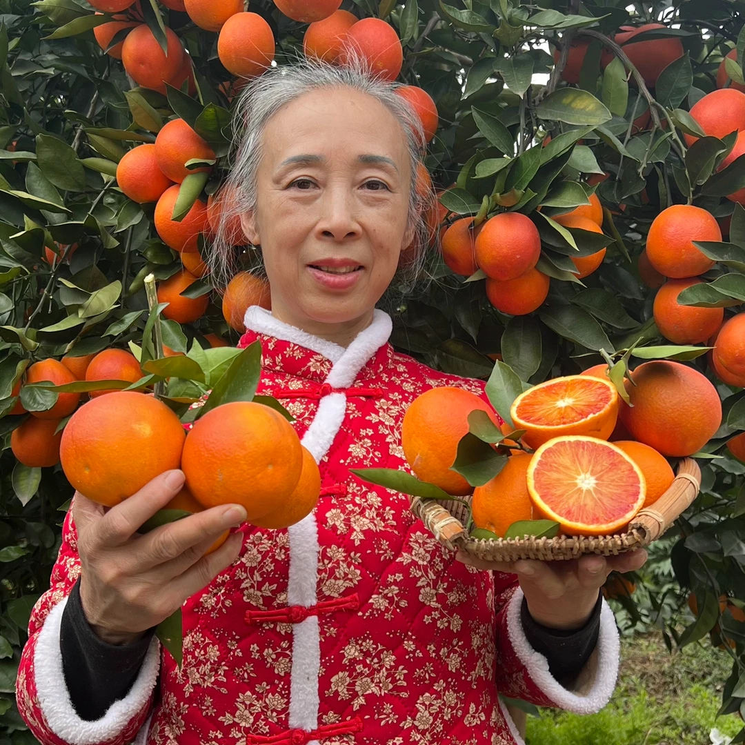玫瑰香血橙塔罗科血橙5斤新鲜水果重庆现摘现发血脐产地