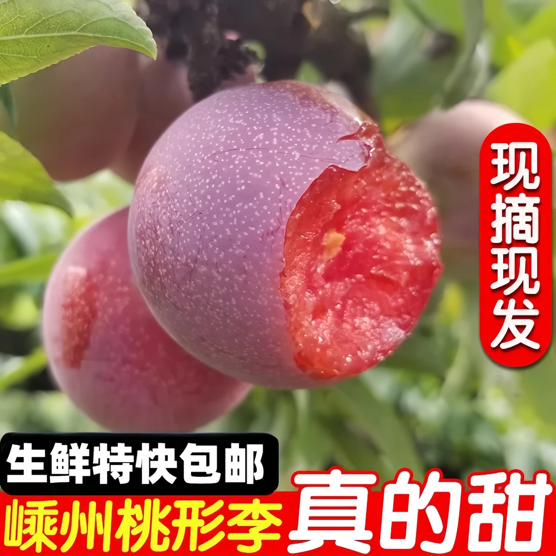 嵊州金庭桃形李正宗新鲜时令水果脆甜红心李孕妇现摘三华芙蓉包邮