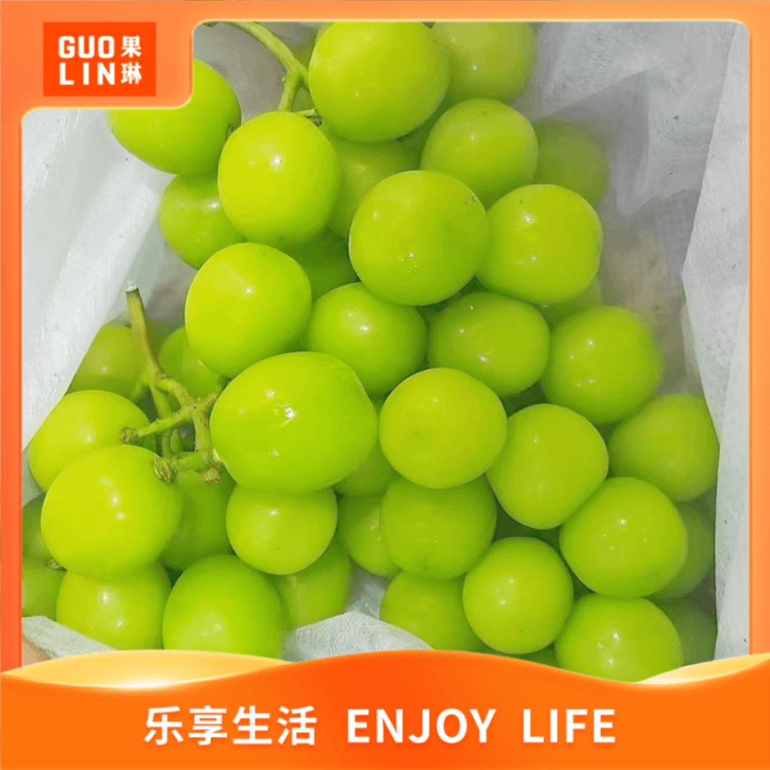 【阳光玫瑰】阳光玫瑰葡萄 B级果 一箱装 /带箱约2.3斤