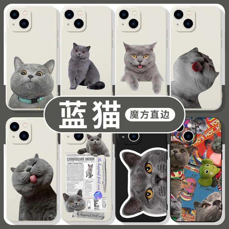 蓝猫手机保护壳苹果13华为mate40Pro英短iPhone14promax12猫咪OPP