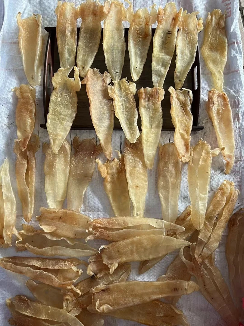 3头左右北海母老胶