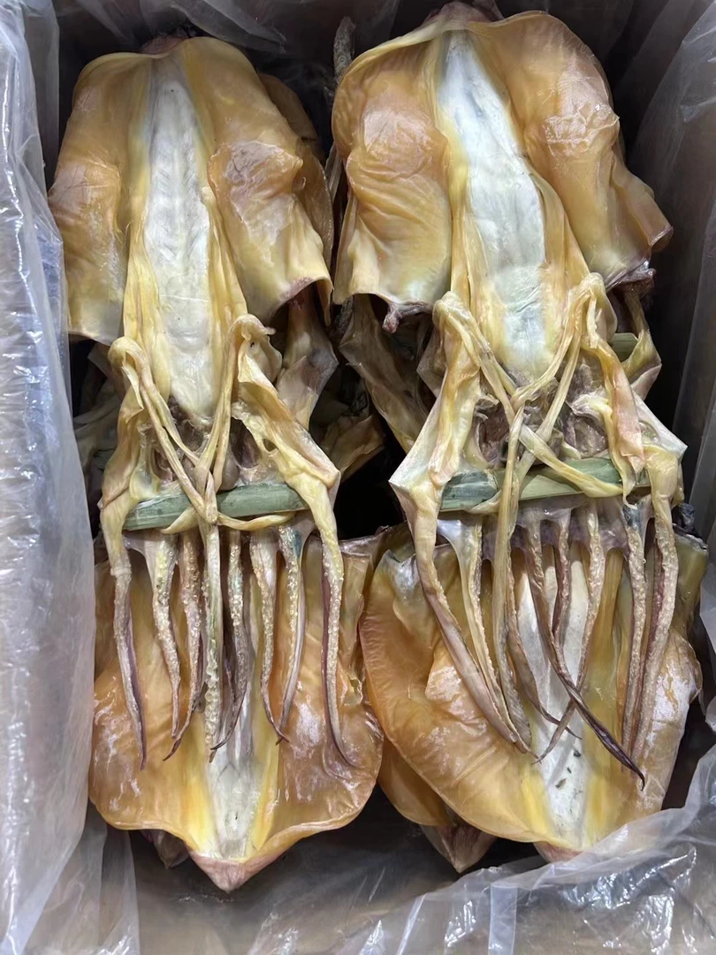 一斤到两斤左右大墨鱼干