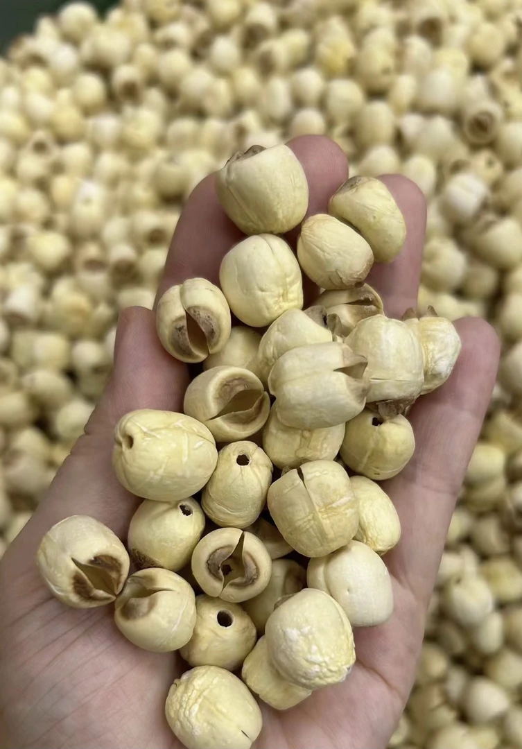 莲子煮糖水炖鱼胶