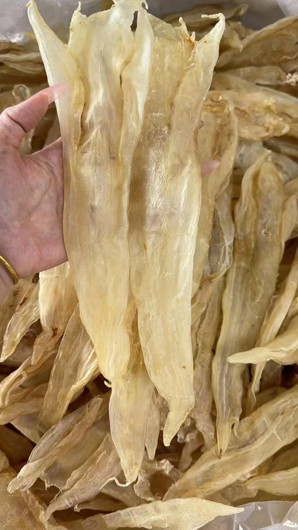 13-14头阴阳北海胶