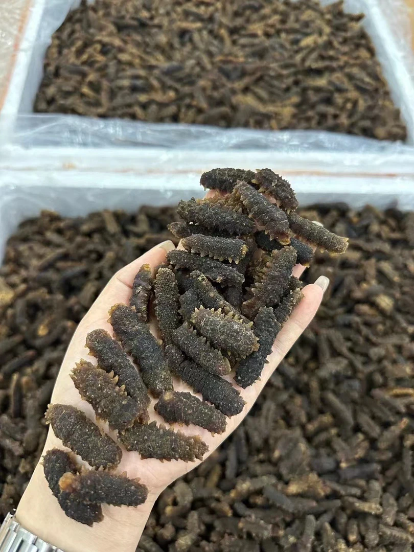 130多头小海参泡发很好