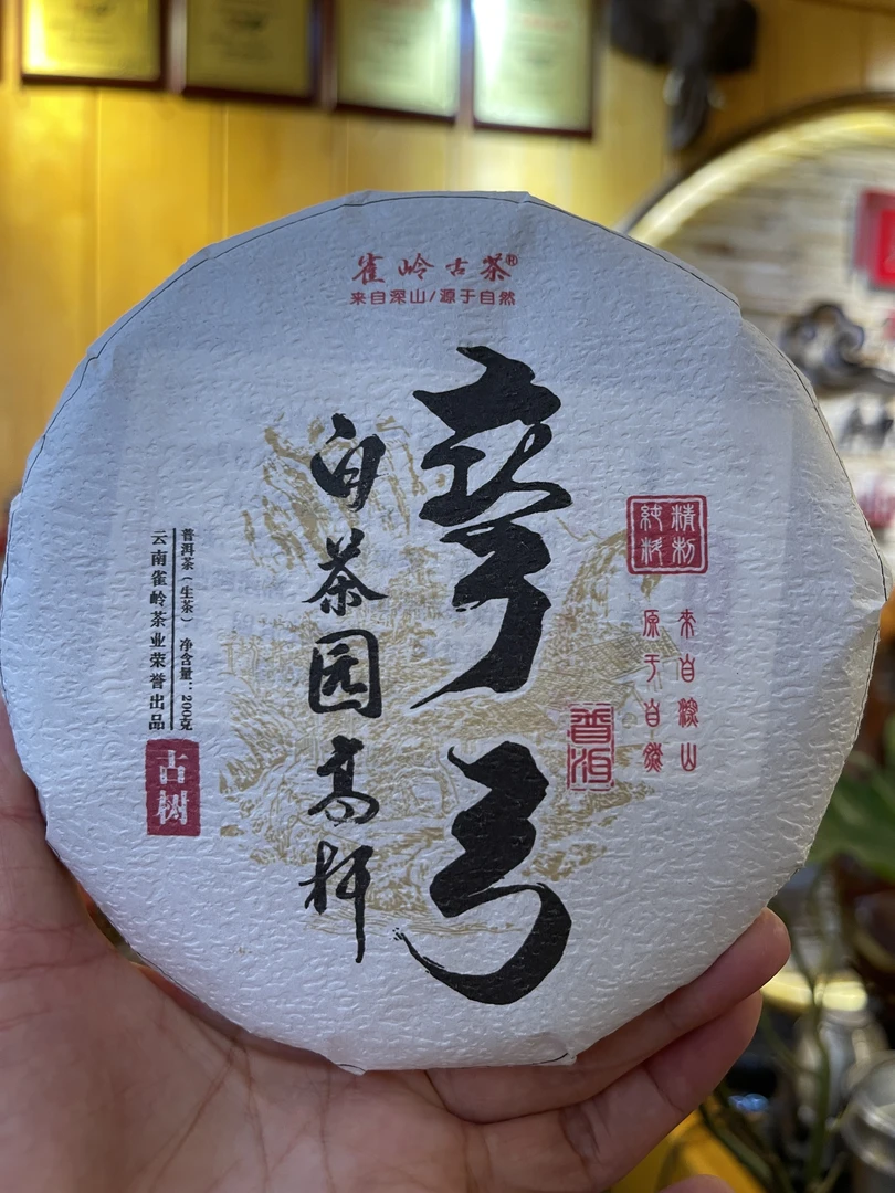 2024年弯弓白茶园高杆古树普洱生茶357g饼
