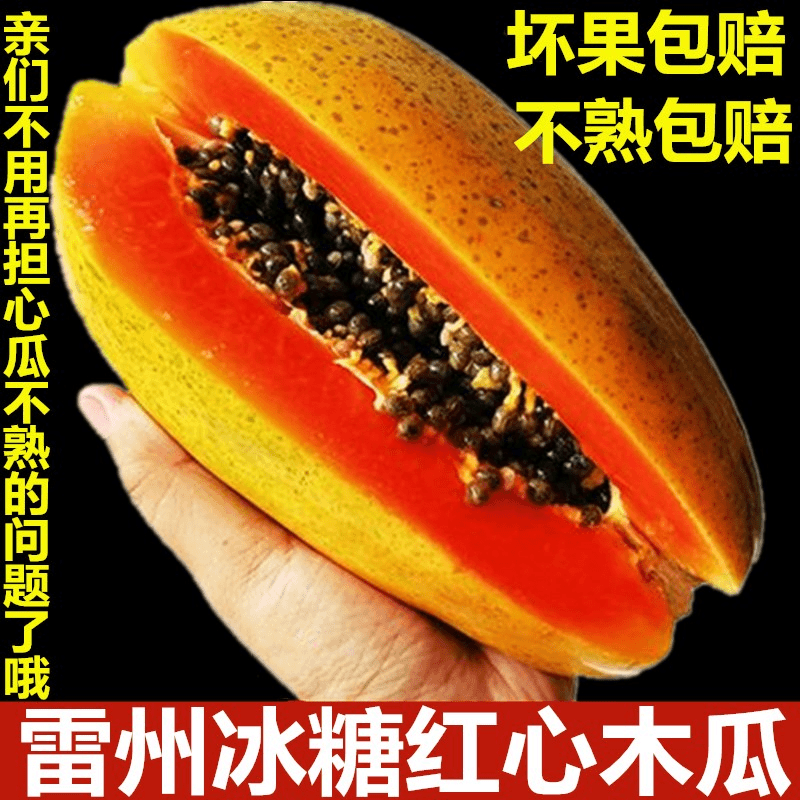 【小伍】雷州冰糖红心木瓜水果新鲜红心牛奶木瓜树上熟共发带箱