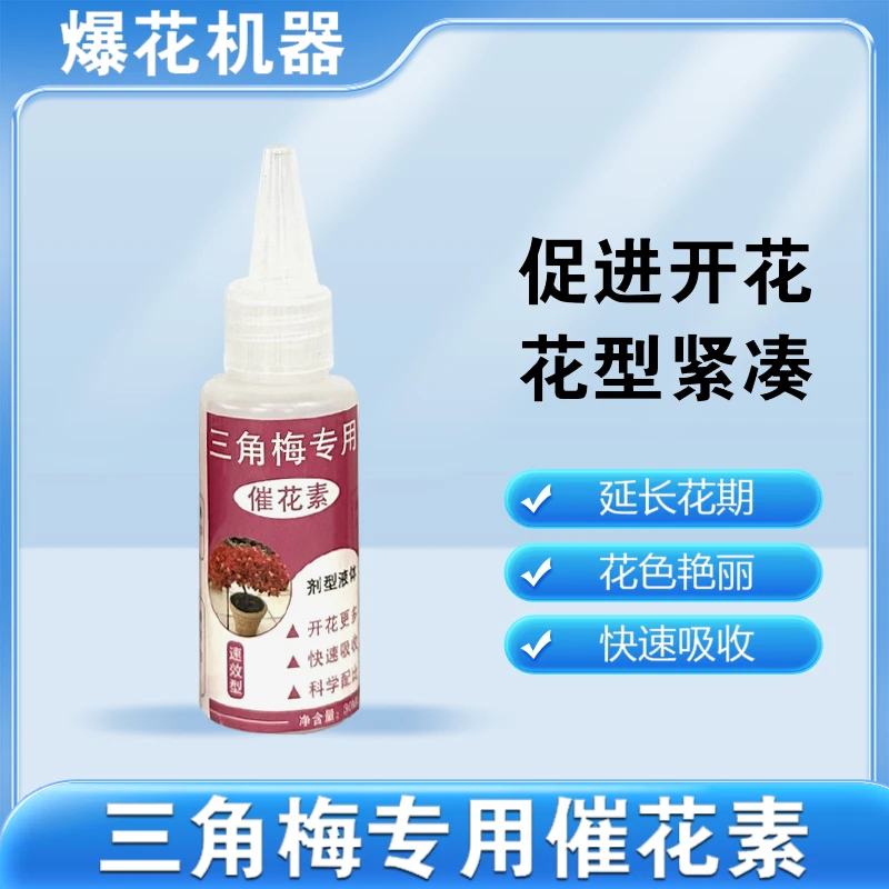 【三角梅催花素】三角梅开花机器爆花更多开花更勤花型紧凑