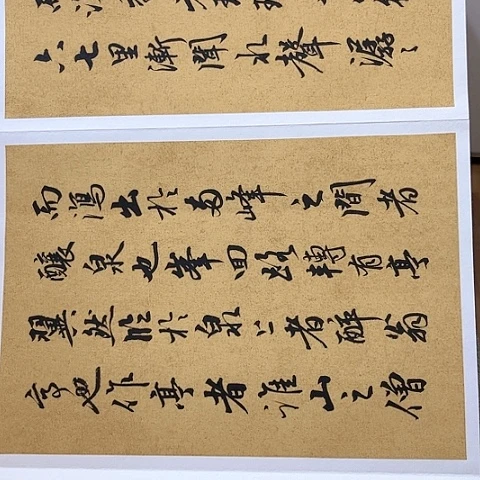 扇子醉翁亭记行书册页作品