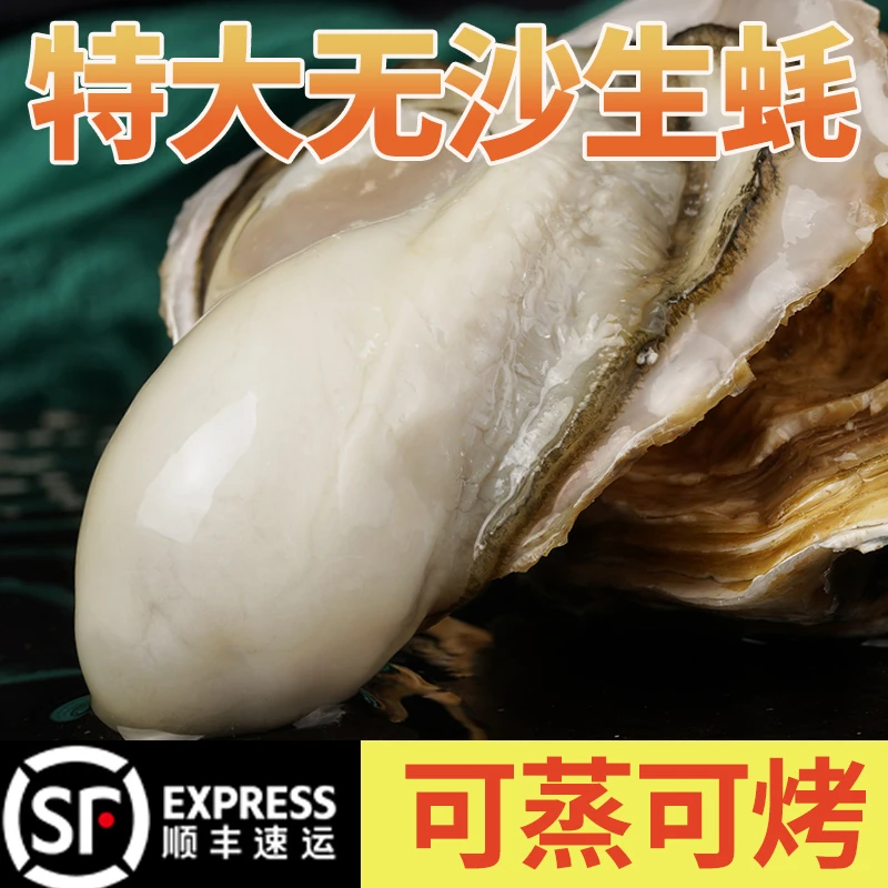 【顺丰包邮】乳山生蚝现捞现发5斤装新鲜牡蛎天然海鲜营养