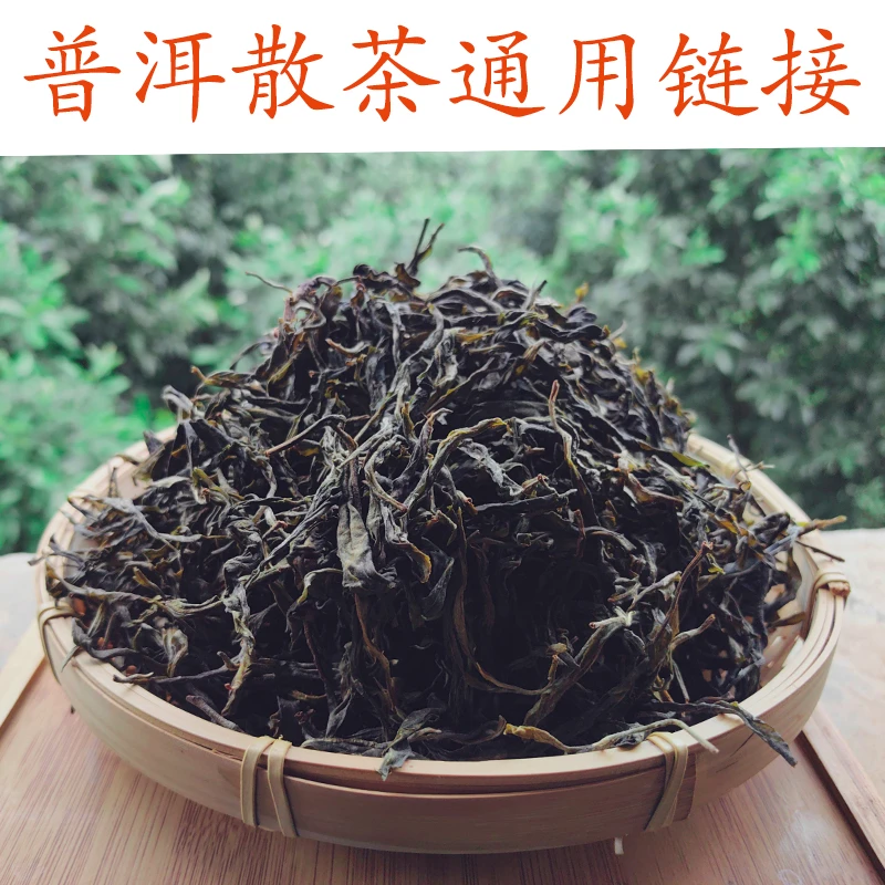 2023年【小勐娥 混采古树 散茶500g 】普洱生茶
