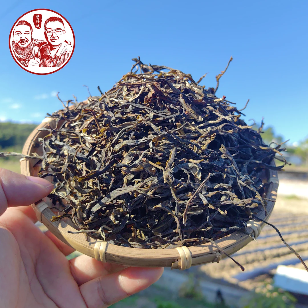 24年 小户赛黑森林【头春大古树纯料】普洱生茶100g