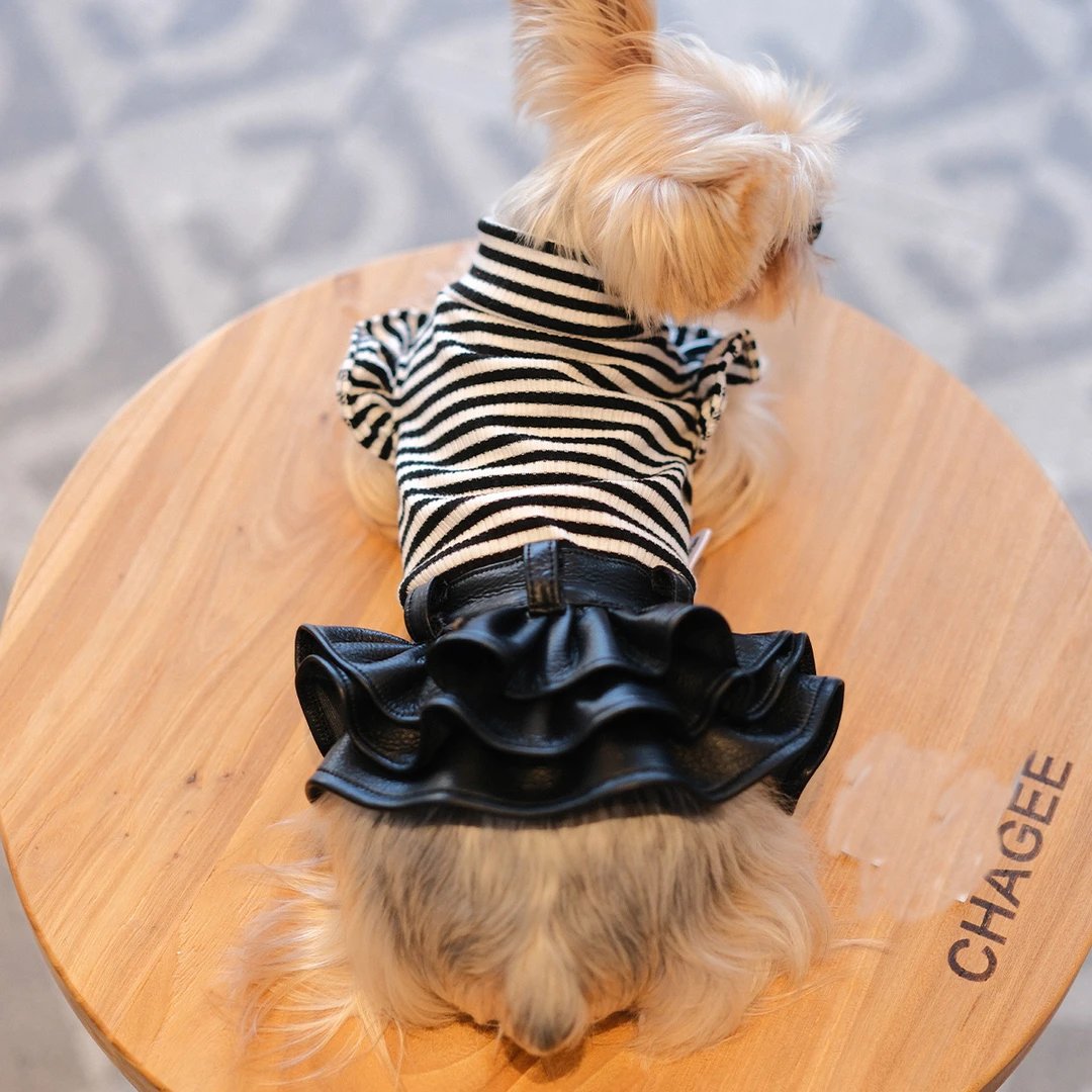 Petstrism宠物摩登狗狗衣服中小型犬比熊泰迪小猫服装秋冬季服饰