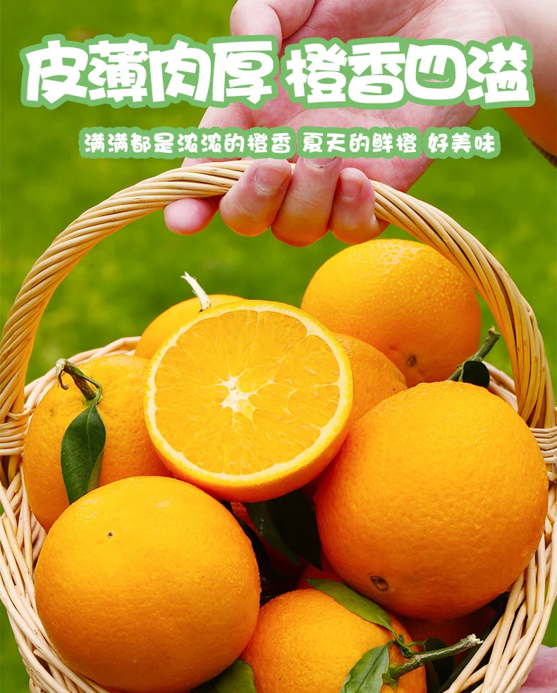 正宗赣南脐橙现摘现发江西赣州赣南橙子甜橙新鲜水果包邮产地直发