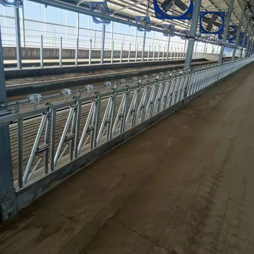 自锁式牛颈枷养牛设备热镀锌防疫用牛颈夹