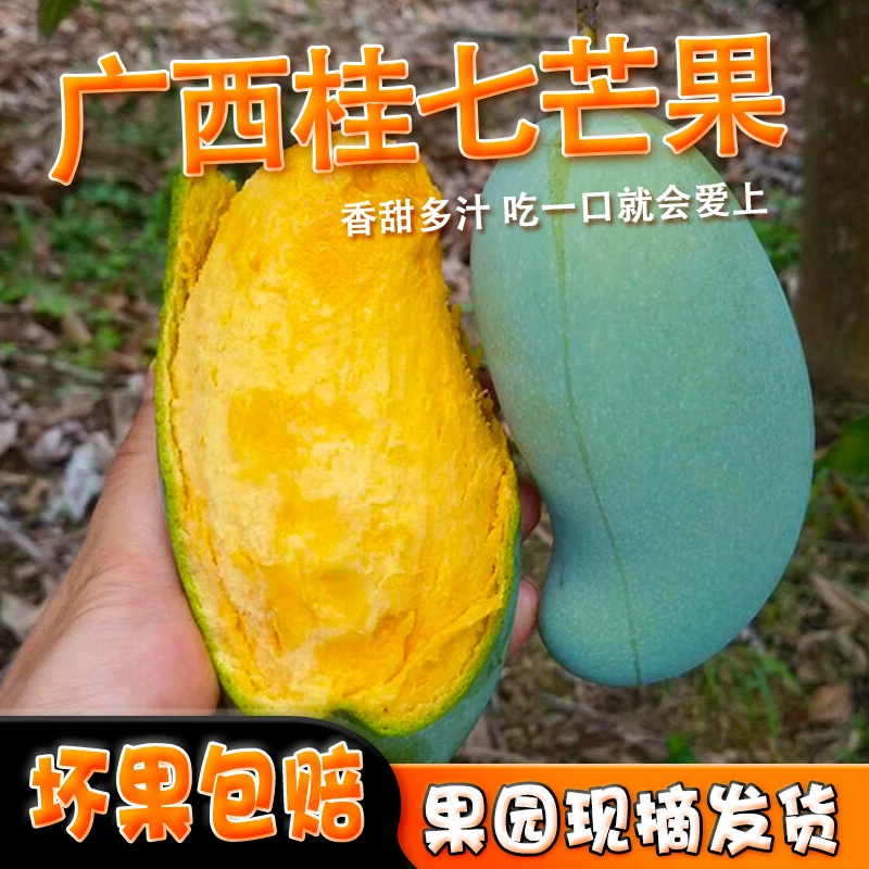 （小5专属）百色田东精品桂七芒水果新鲜当季现摘热带水果基地直发
