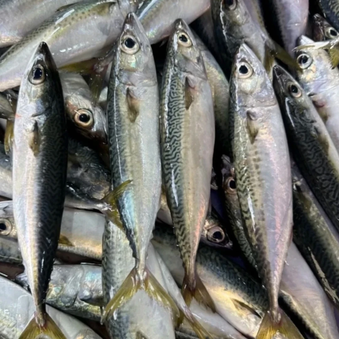 （照灯花仙鱼）潮汕神泉港杀好一包400克  发5包