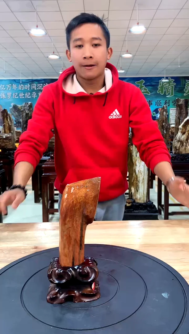 【闪购商品】硅化玉摆件未镶嵌天然树化玉家居摆件拍一发一