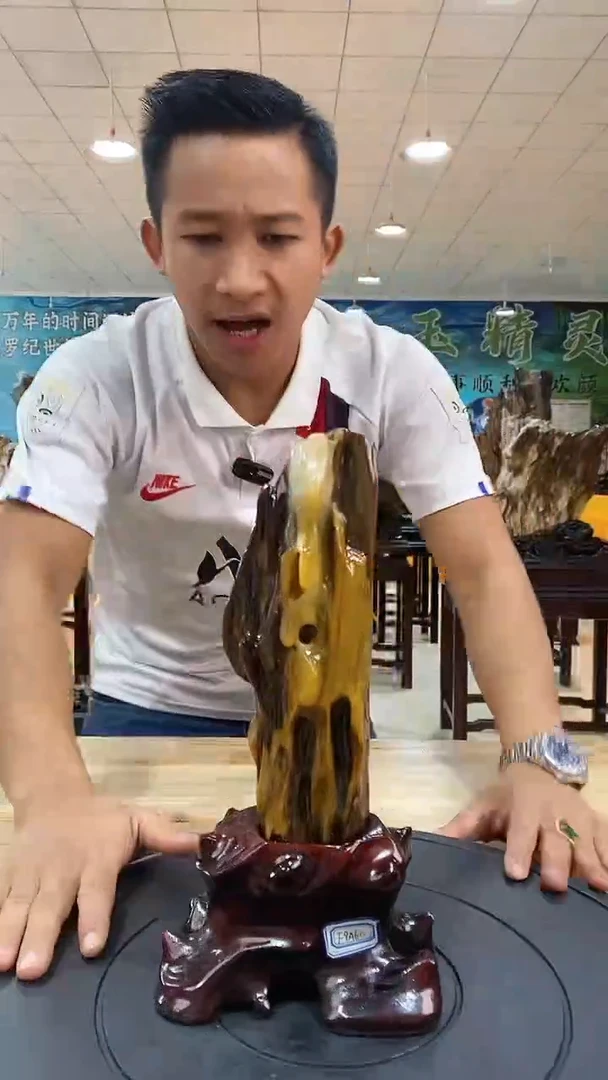 【闪购商品】硅化玉摆件未镶嵌客厅家居天然树化玉摆件拍一发一