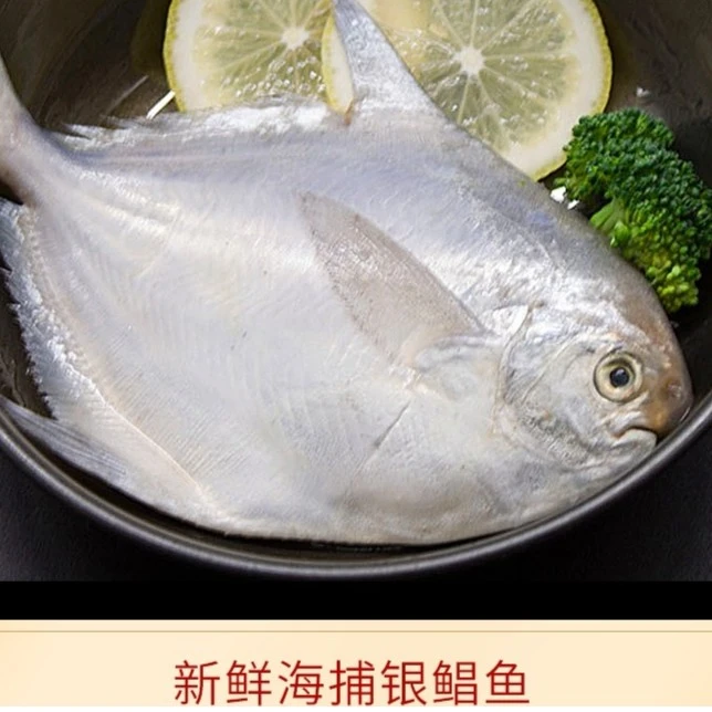 野生新鲜银鲳鱼小号一斤8-10条  发5斤白鲳 平鱼 青岛速冻发货
