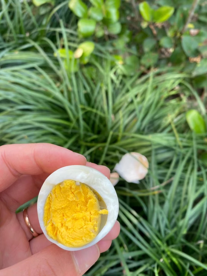 宣城艾侬土鸡蛋好山好水好鸡蛋