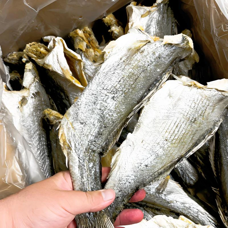 琳妈精选 湛江本港海鲈鱼肉干整条腌制咸鱼干500克