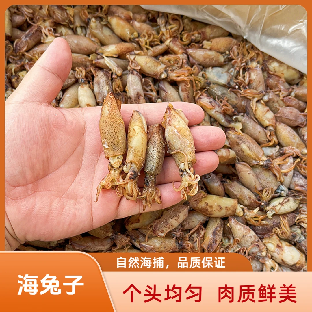 琳妈精选 本港小海兔仔小鱿鱼仔