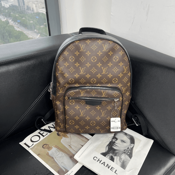 95新 LouisVuitton/路易威登 捐金沉珠/老花双肩包