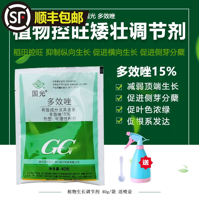 国光多效唑植物矮化剂多肉月季草坪花卉果树控制生长徒长矮壮素药