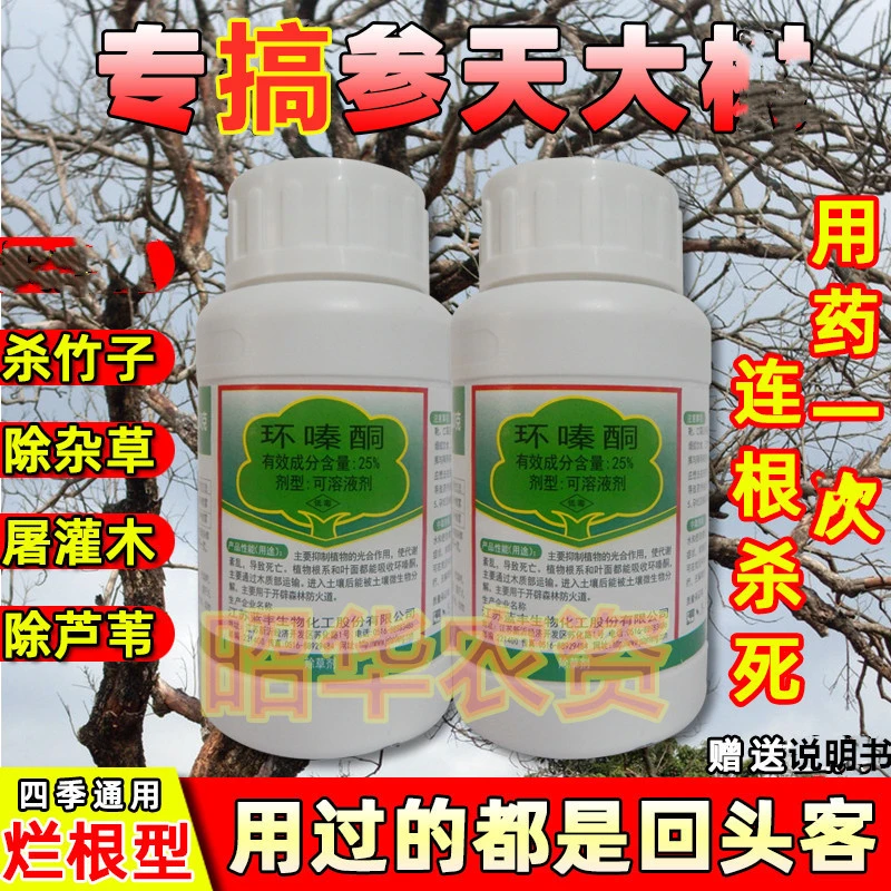 环嗪酮强力除竹子死灌木芦苇杂草枯萎烂根灵药厂房开荒水剂除草剂