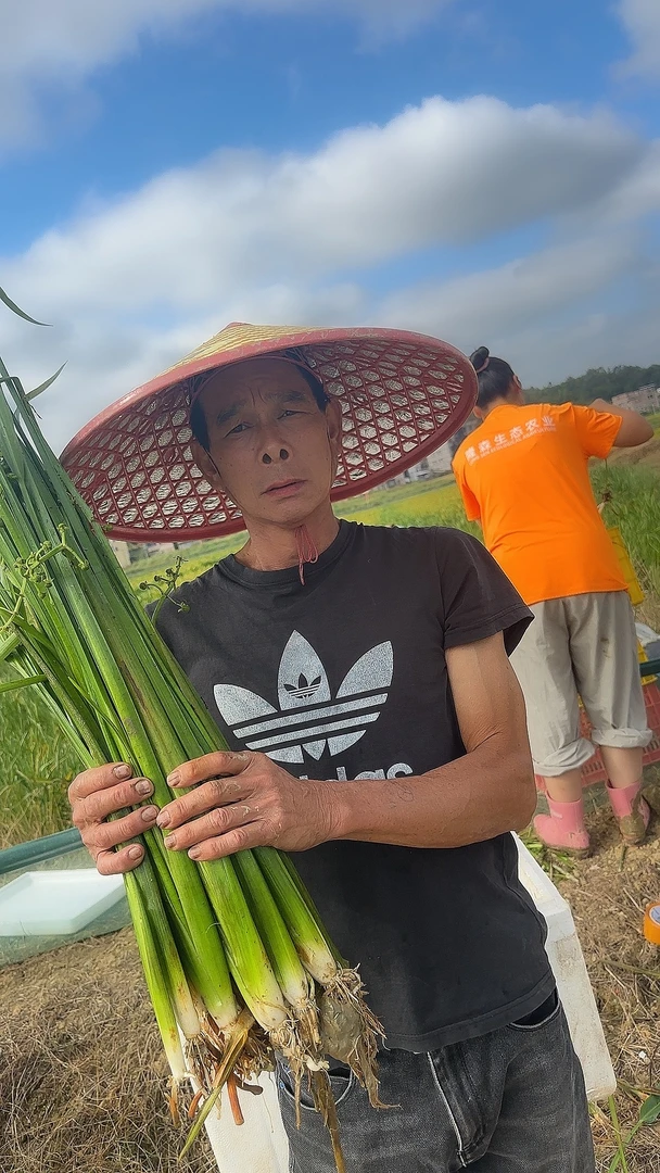 800株包邮 养殖神草 小龙虾 螃蟹适用