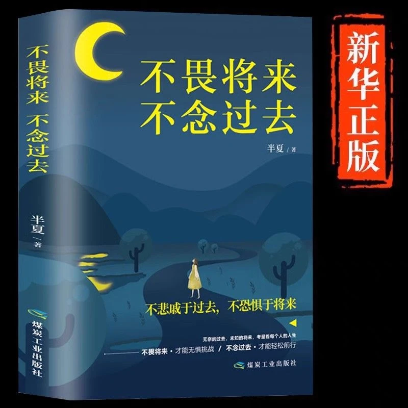 不畏将来不念过去正版治愈系小说青春文学正能量成功励志畅销书籍