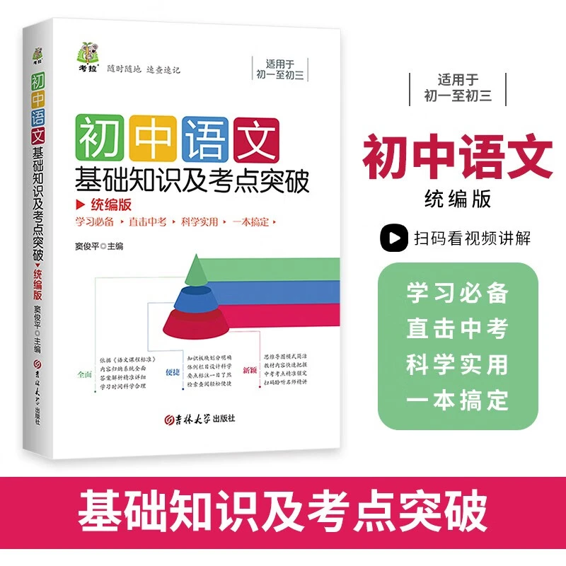 初中语文基础知识及考点突破七八九年级基础知识大全中考总复习书