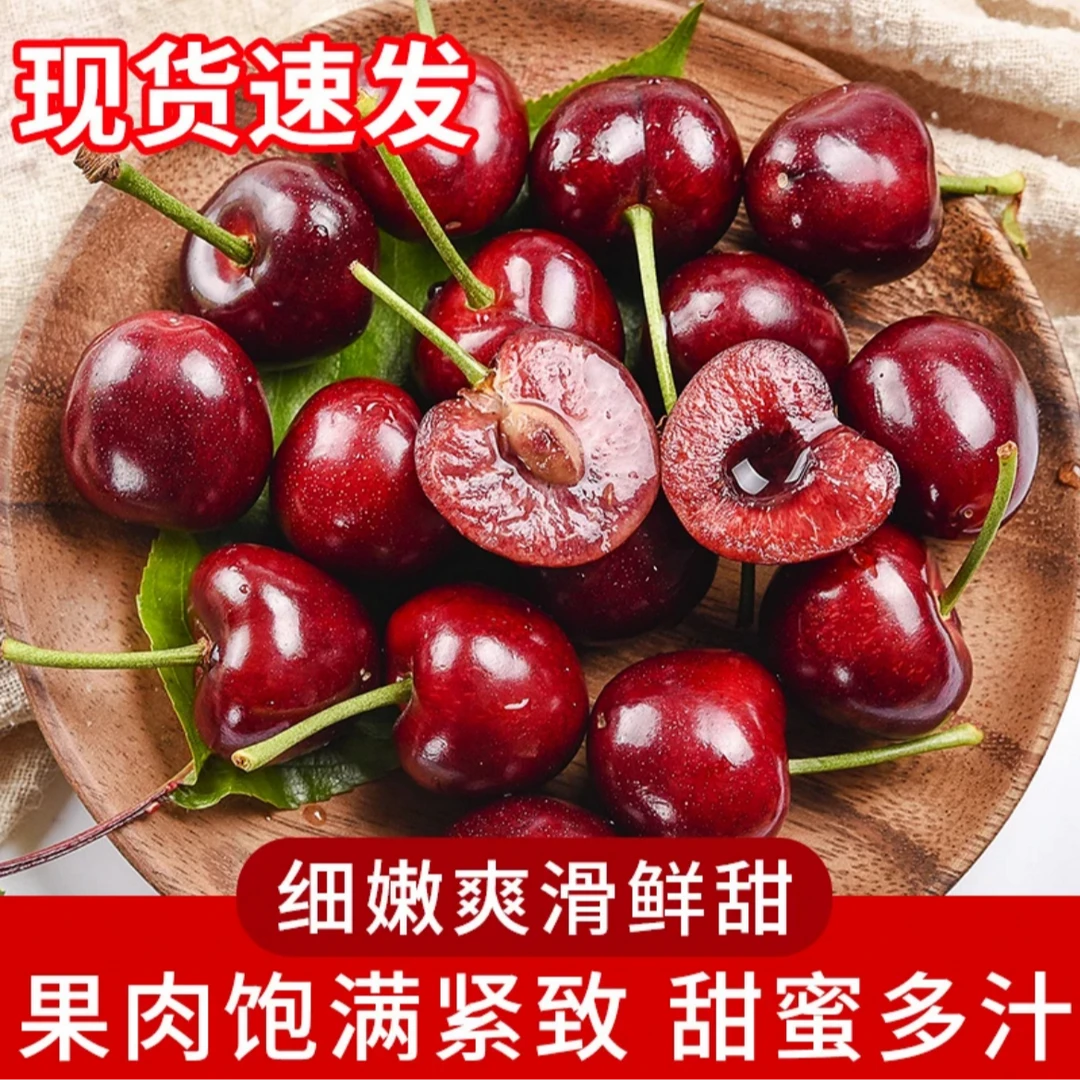 【邮政农品】山东露天美早大樱桃新鲜水果肉厚多汁现摘现发空运包邮